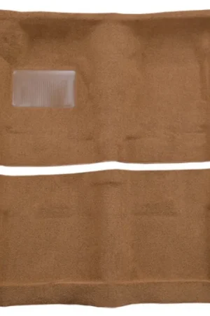 Today Only Carpet for 1968-1970 Dodge Charger Auto Loop