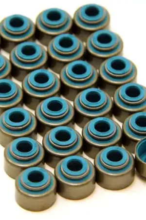 GSC P-D Toyota 2JZ Viton 6mm Valve Stem Seal Set Best Choice