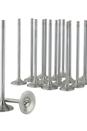 Skunk2 Alpha Series Honda/Acura Stock Size D Series Valve Set (Standard Compression) Certified