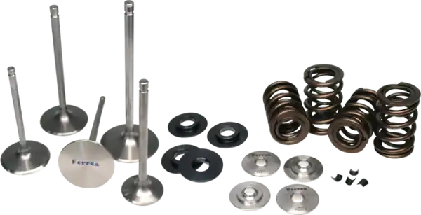 Ferrea Honda S2000 Dual Spring Kit High Quality