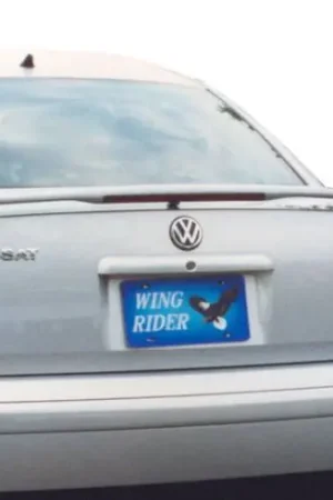 Instant Buy Factory Style Spoiler With Light