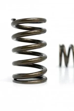 Factory Price Kelford High Performance Valve Spring Set (EJ20/25)