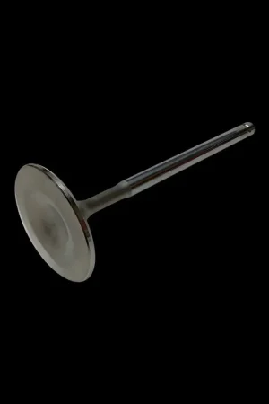 Brian Crower Brian Crower Honda H22 31mm Exhaust Valve (Single Valve) Super Sale