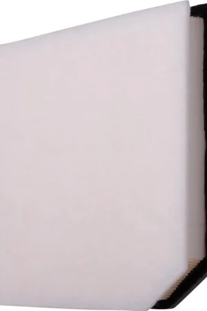 Wholesale 2025 BMW X2 Air FilterPA99606