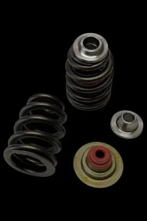 Brian Crower Can-Am X3 / ROTAX 900 ACE Beehive Spring/Titanium Retainer Kit (NO SEAT) Trending